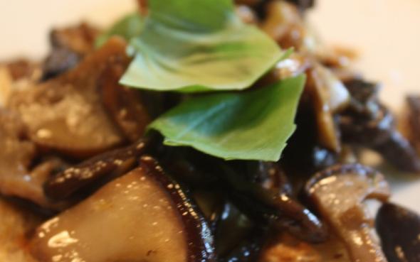 Nord møder syd, crostini con fungi image 4