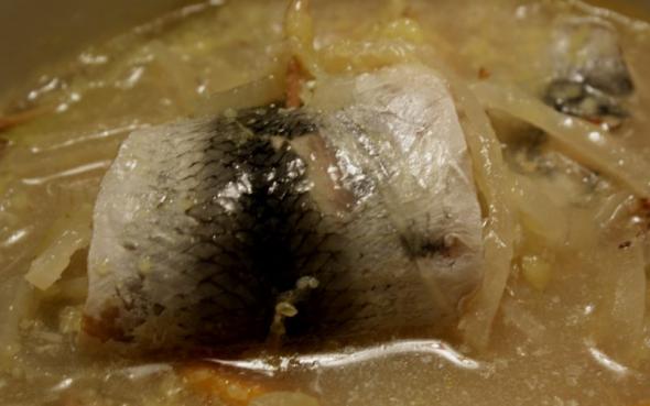 Rollmopsen, en overset lækkerbidsken image 1