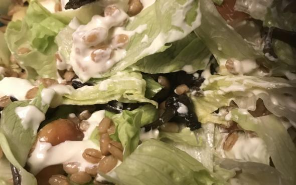 Cremet perlebyg i lun salat image 1