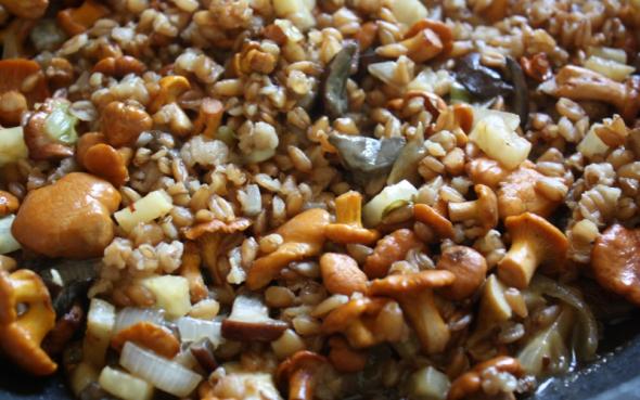 Sommerkantareller, perlespelt og bladselleri image 1
