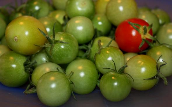 Grøn Tomatchutney image 1